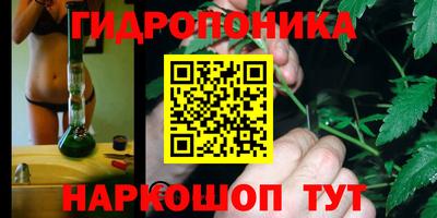 СК Уссурийск